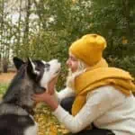 Husky dog greeting lady