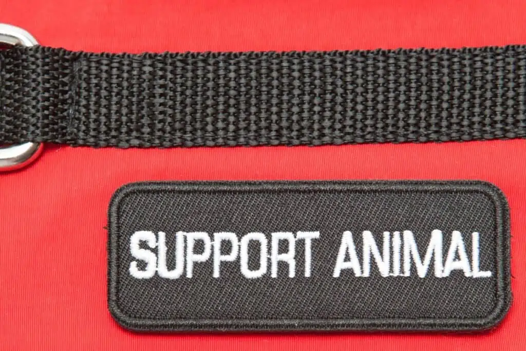 Support animal sign